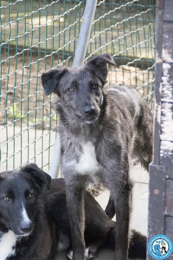 Nina, Nana e Noah: il club degli invisibili Foto 6
